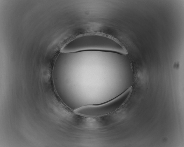 X0000112520566200908241447