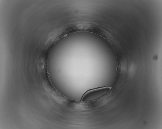 X0000112520567200908241447