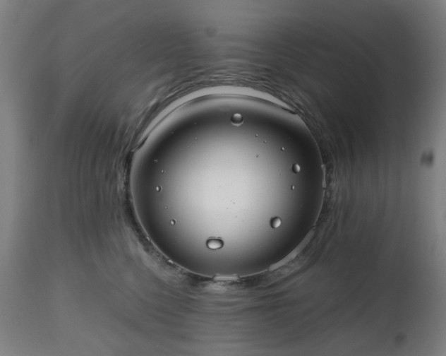 X0000112520568200908241447