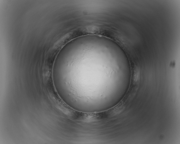 X0000112520569200908241447