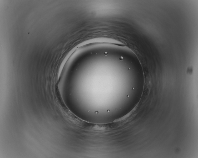 X0000112520570200908241447