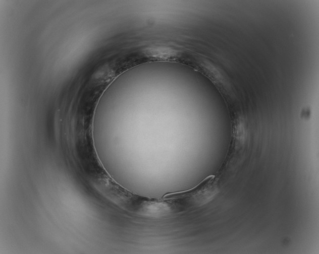 X0000112520572200908241447