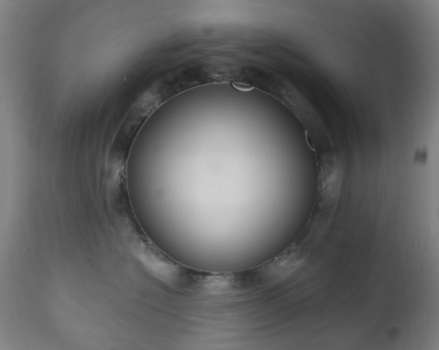 X0000112520574200908241447
