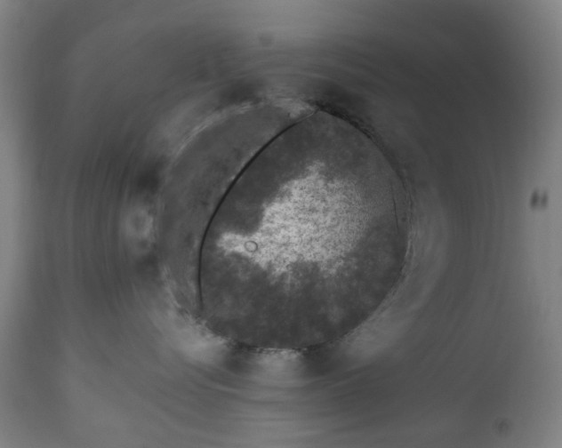 X0000112520576200908241447