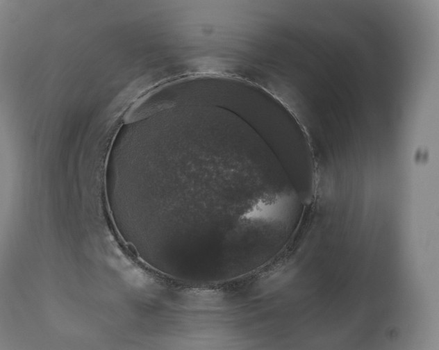 X0000112520577200908241447