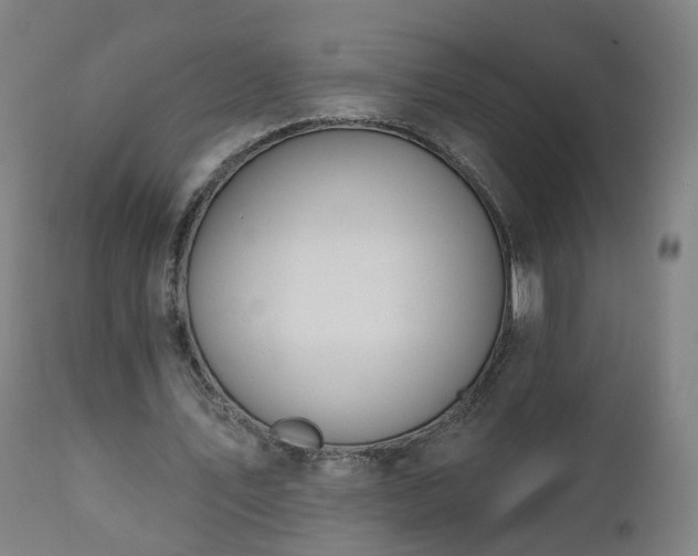 X0000112520579200908241447