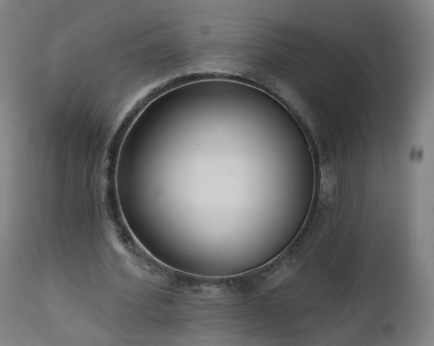 X0000112520580200908241447