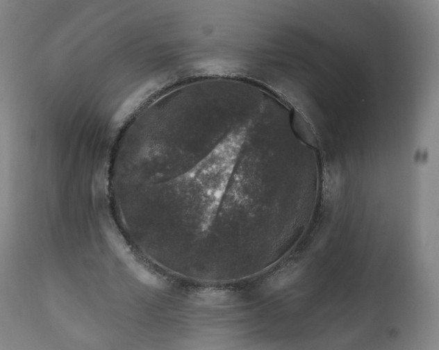 X0000112520581200908241447