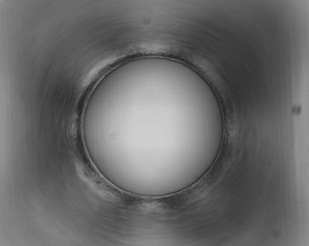X0000112520583200908241447