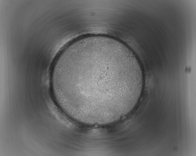 X0000112520584200908241447