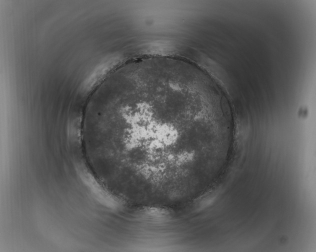 X0000112520585200908241447