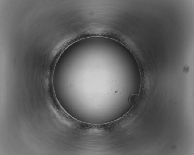X0000112520586200908241447