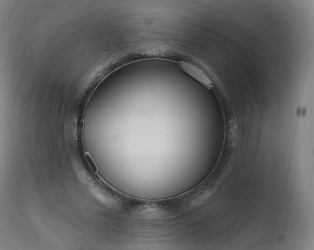X0000112520589200908241447