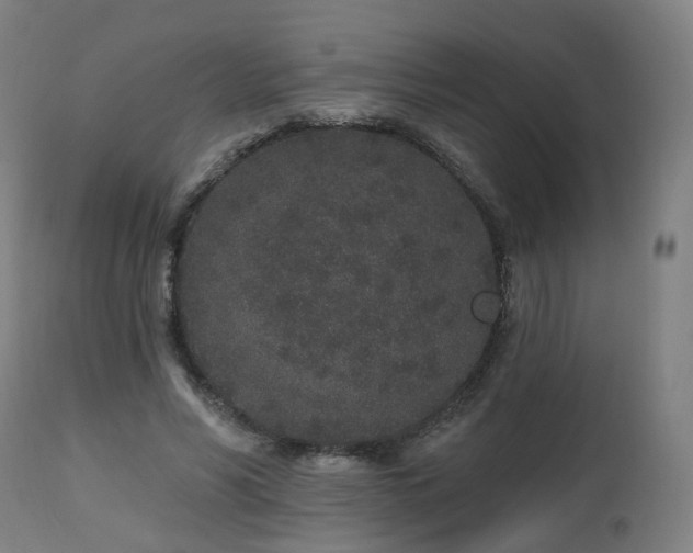 X0000112520590200908241447