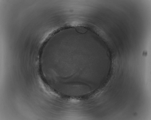 X0000112520592200908241447