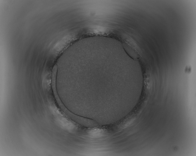 X0000112520593200908241447