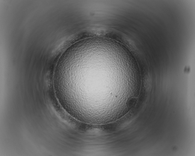 X0000112520594200908241447