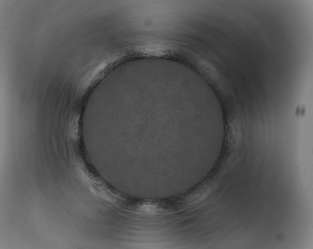 X0000112520596200908241446
