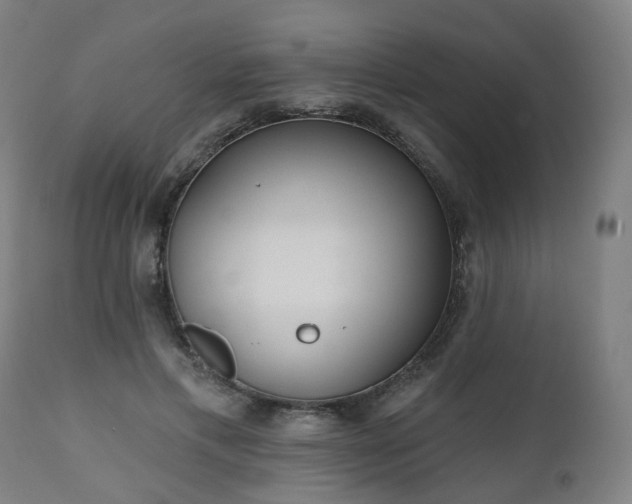 X0000112520597200908241446