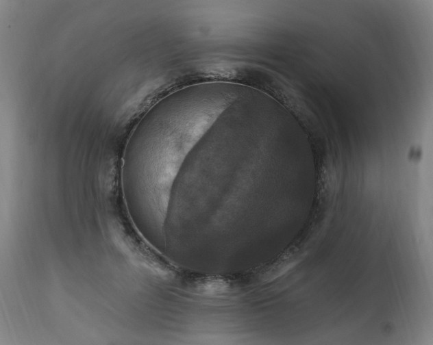 X0000112520600200908241446