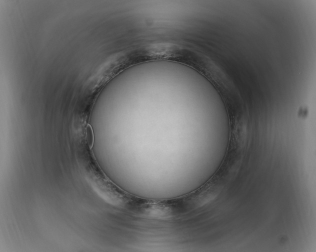 X0000112520601200908241446