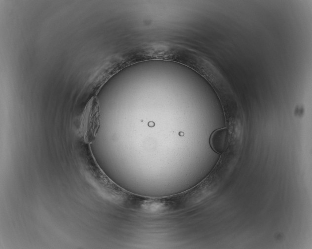 X0000112520602200908241446