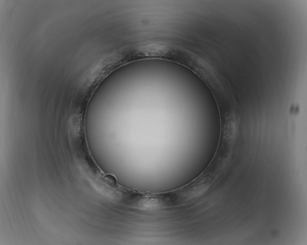 X0000112520604200908241446