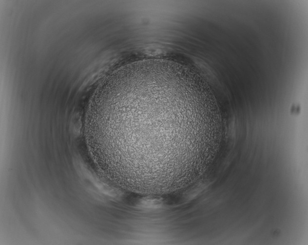 X0000112520606200908241446