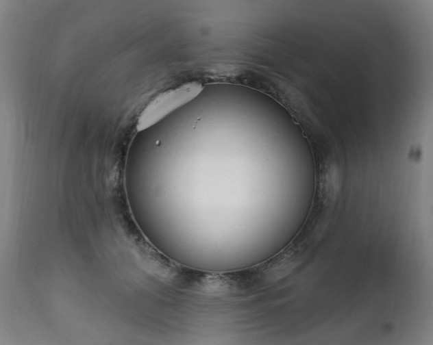 X0000112520608200908241446