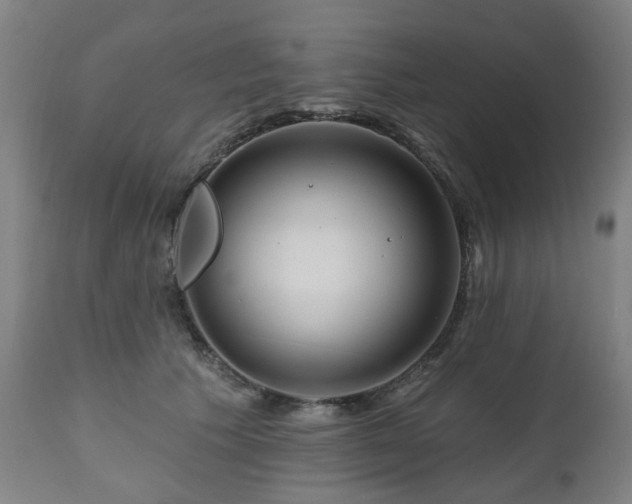 X0000112520609200908241446
