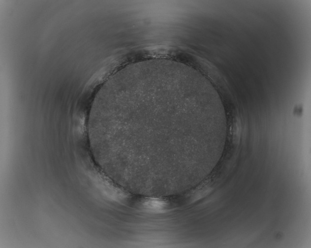 X0000112520610200908241446