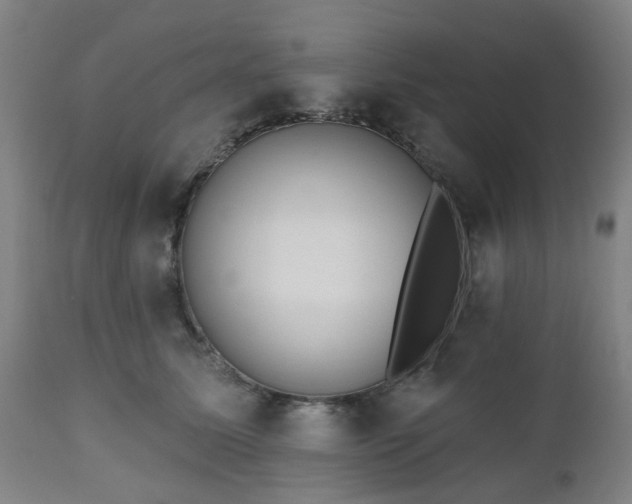 X0000112520611200908241446
