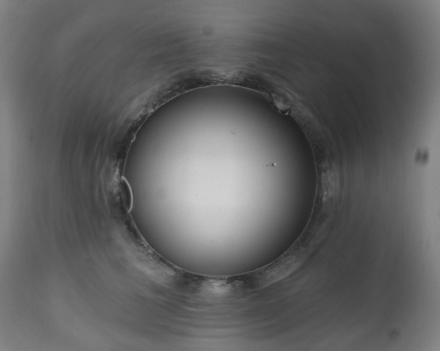 X0000112520613200908241446
