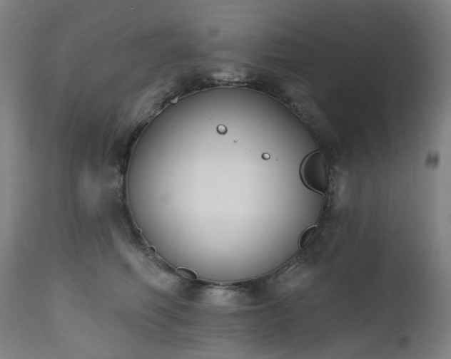 X0000112520614200908241446