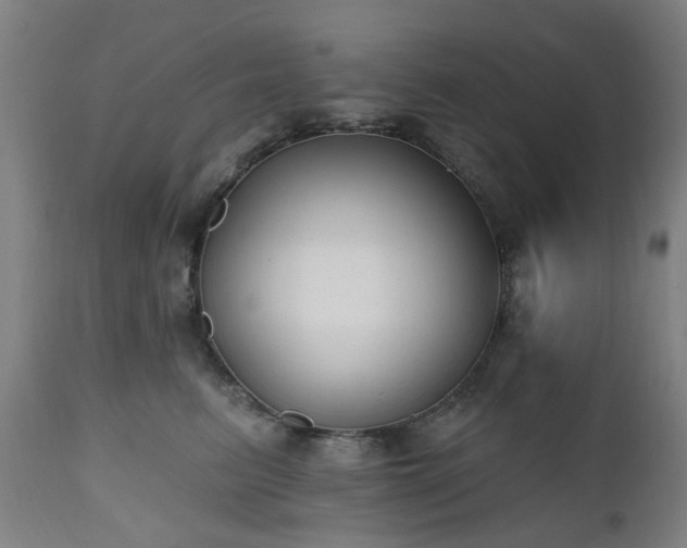 X0000112520615200908241446