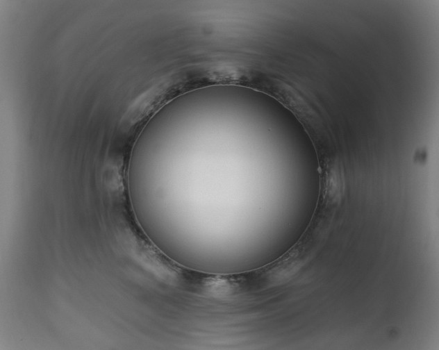 X0000112520616200908241446
