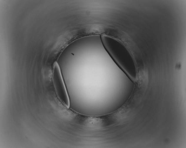 X0000112520617200908241446