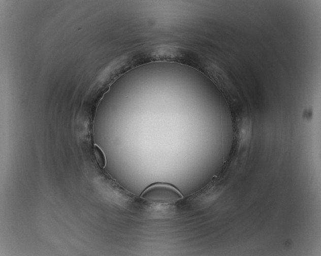 X0000112520619200908241446