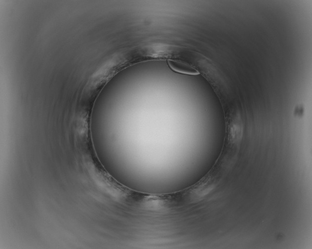 X0000112520620200908241446