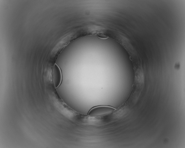 X0000112520622200908241446