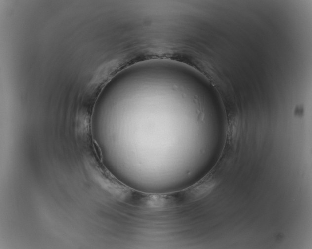 X0000112520623200908241446