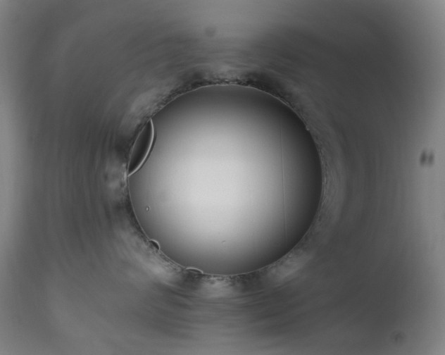 X0000112520624200908241446