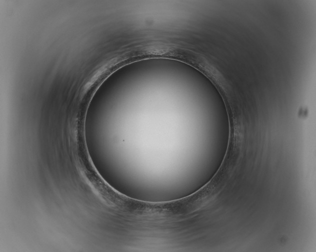 X0000112520626200908241445