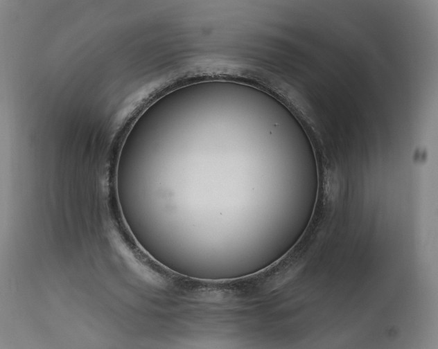 X0000112520629200908241445