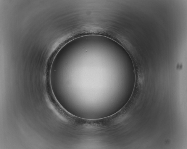 X0000112520630200908241445