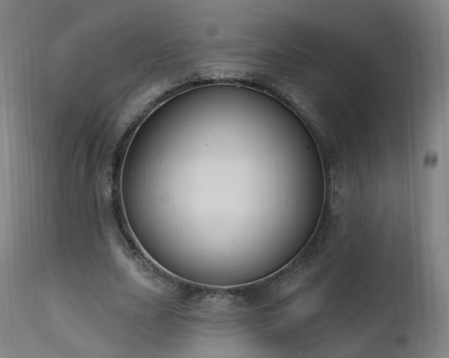 X0000112520631200908241445