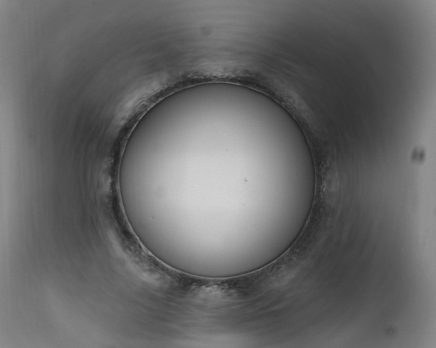 X0000112520635200908241445