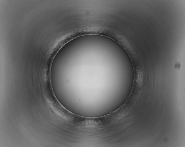 X0000112520636200908241445