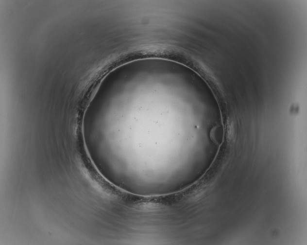 X0000112520637200908241445