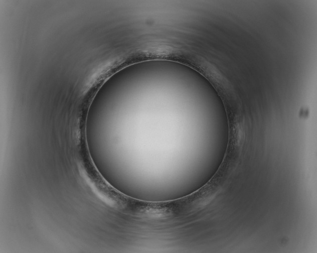 X0000112520638200908241445
